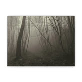Foggy Forest Matte Canvas Wall Art — Moody Woodland Photography Print