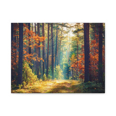Autumn Forest Path Matte Canvas Print — Stretched Wall Art