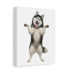 Playful Husky Canvas Print – Standing Siberian Dog Wall Art