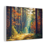 Autumn Forest Path Matte Canvas Print — Stretched Wall Art