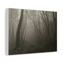 Foggy Forest Matte Canvas Wall Art — Moody Woodland Photography Print