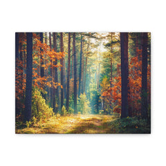 Autumn Forest Path Matte Canvas Print — Stretched Wall Art