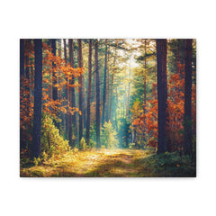 Autumn Forest Path Matte Canvas Print — Stretched Wall Art