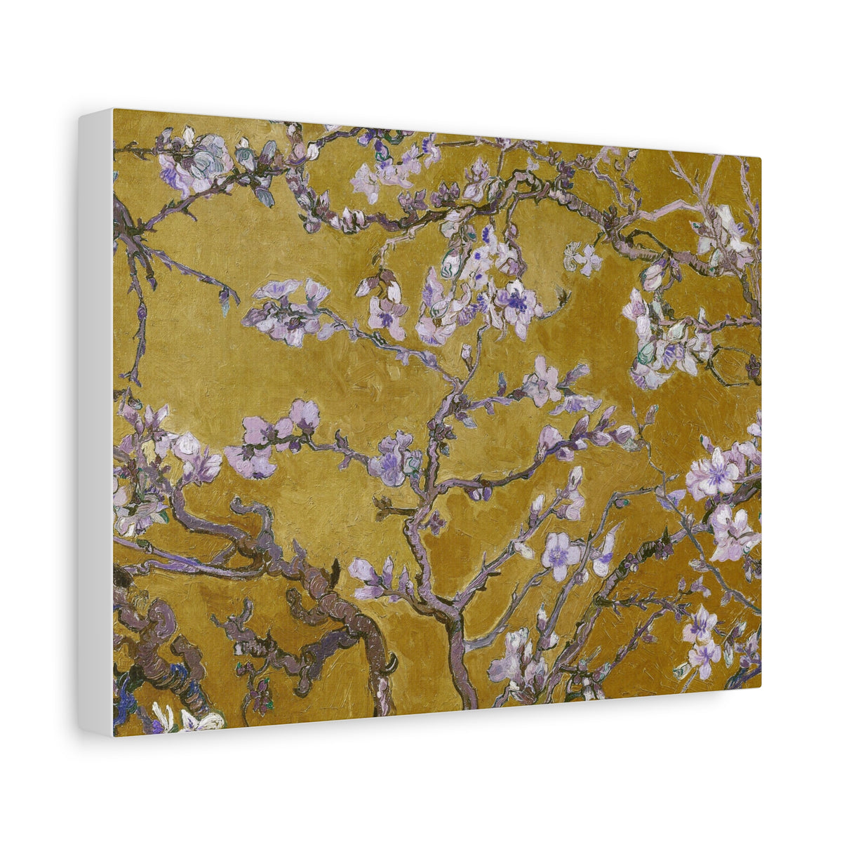 Blossoming Almond Branches Matte Canvas Wall Art – Golden Floral Stretched Print